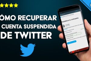 Cómo recuperar una cuenta de Twitter suspendida
