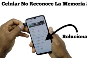 Qué hacer si el móvil no detecta la tarjeta SD